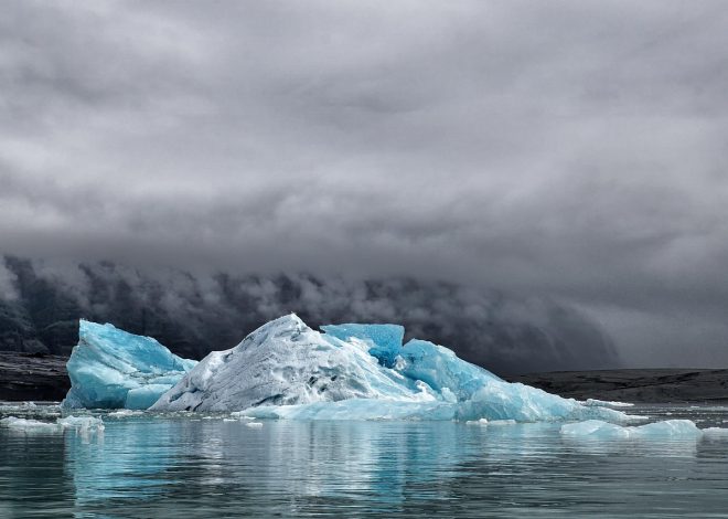 Stratégies de changement climatique : des solutions innovantes pour un avenir durable