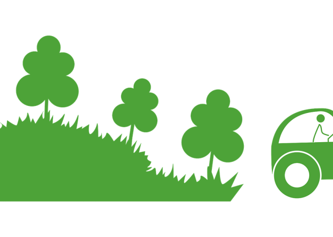 Systèmes agroforestiers : une solution durable pour l’agriculture moderne