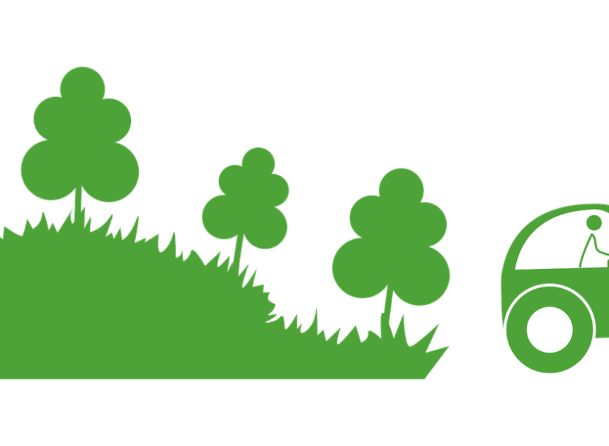 Systèmes agroforestiers : une solution durable pour l’agriculture moderne