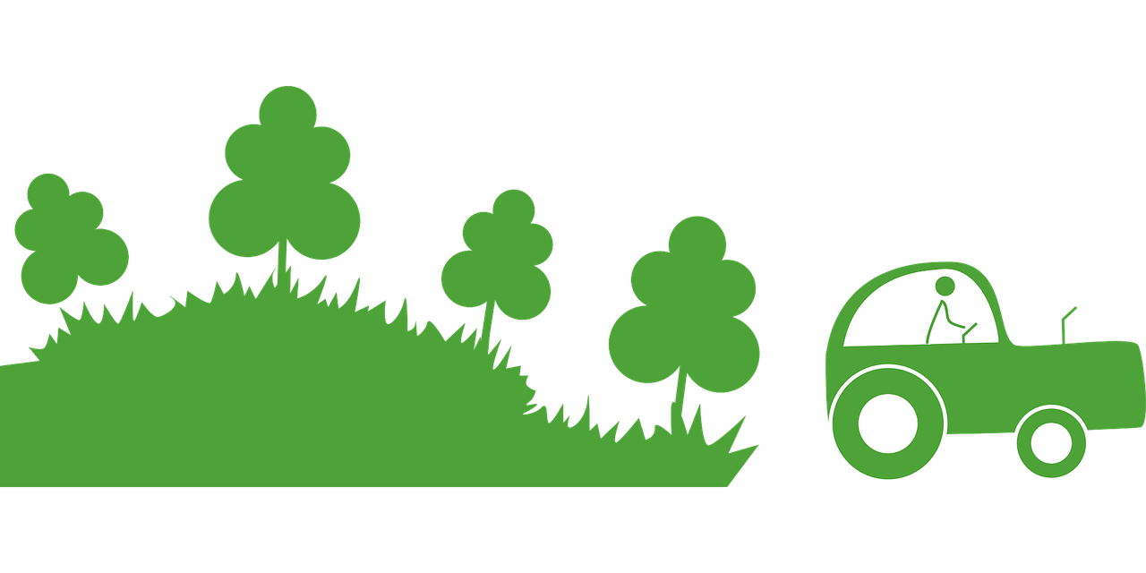 Systèmes agroforestiers : une solution durable pour l’agriculture moderne