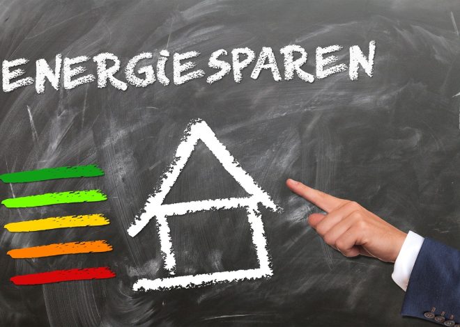 Transition socio-écologique : comprendre les enjeux et les solutions pour un avenir durable