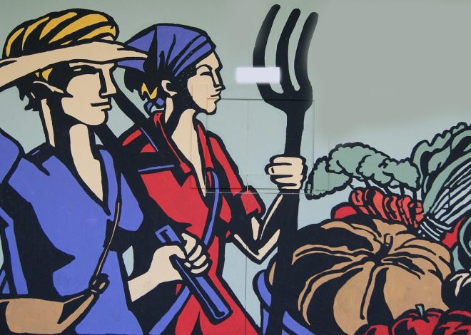Une analyse critique de l’écoféminisme dans le domaine de la finance dédiée à la biodiversité