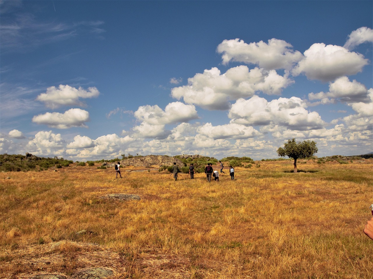 découvrez l'agroforesterie, une pratique agricole durable qui combine l'agriculture et la foresterie pour enrichir les sols, favoriser la biodiversité et améliorer la résilience des écosystèmes. apprenez comment cette méthode innovante contribue à la sécurité alimentaire tout en protégeant l'environnement.