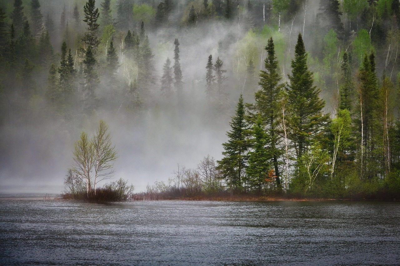 découvrez l'importance et la richesse de la biodiversité, qui englobe la variété des espèces, des écosystèmes et des gènes sur notre planète. apprenez comment elle soutient la vie, maintient l'équilibre écologique et comment nous pouvons tous contribuer à sa préservation.