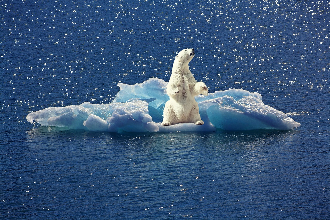 découvrez les dernières avancées en prévision climatique, un domaine essentiel pour anticiper les changements environnementaux, protéger les écosystèmes et planifier un avenir durable. restez informé sur les outils et méthodes utilisés pour modéliser avec précision les tendances climatiques.