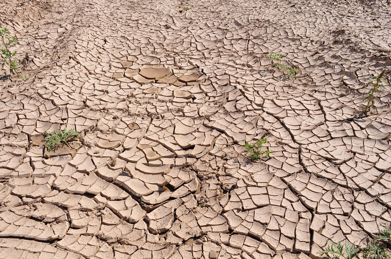 découvrez les enjeux de la désertification, un phénomène climatique alarmant qui menace les écosystèmes et les communautés. apprenez comment cette dégradation des terres impacte notre planète et quelles solutions peuvent être mises en place pour lutter contre ce fléau.