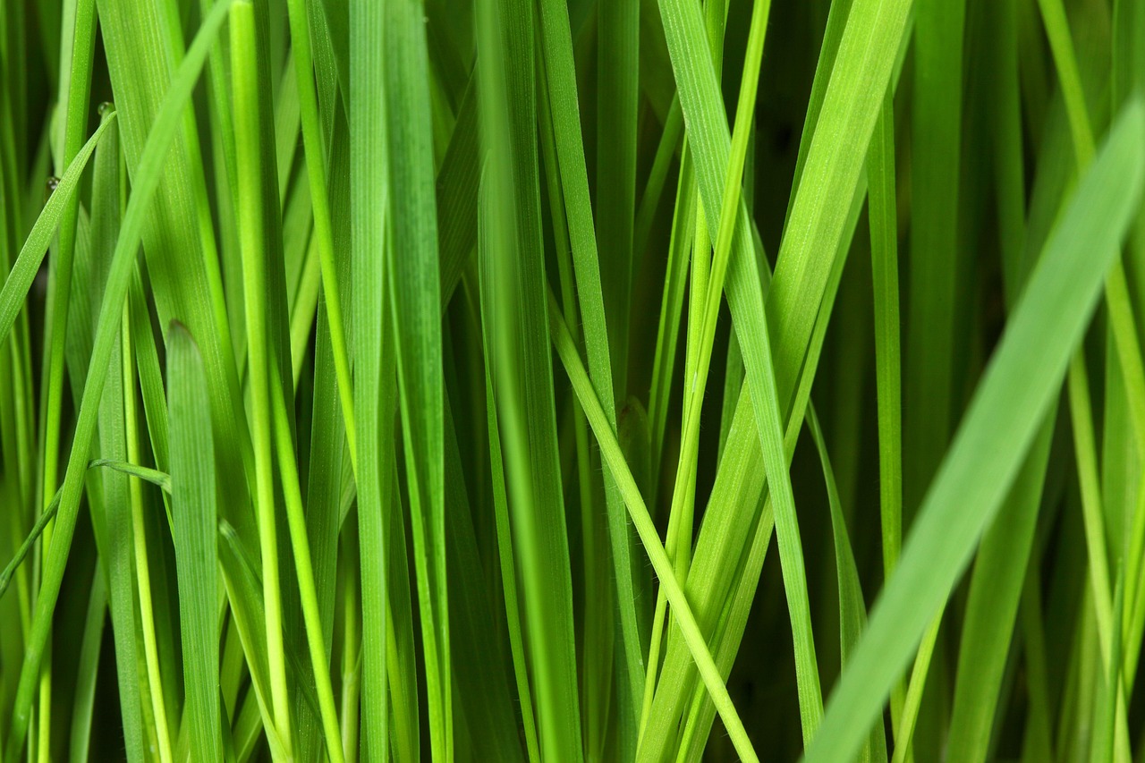 découvrez notre sélection de meubles écologiques, alliant design moderne et respect de l'environnement. optez pour des matériaux durables et contribuez à un futur plus vert tout en embellissant votre intérieur.