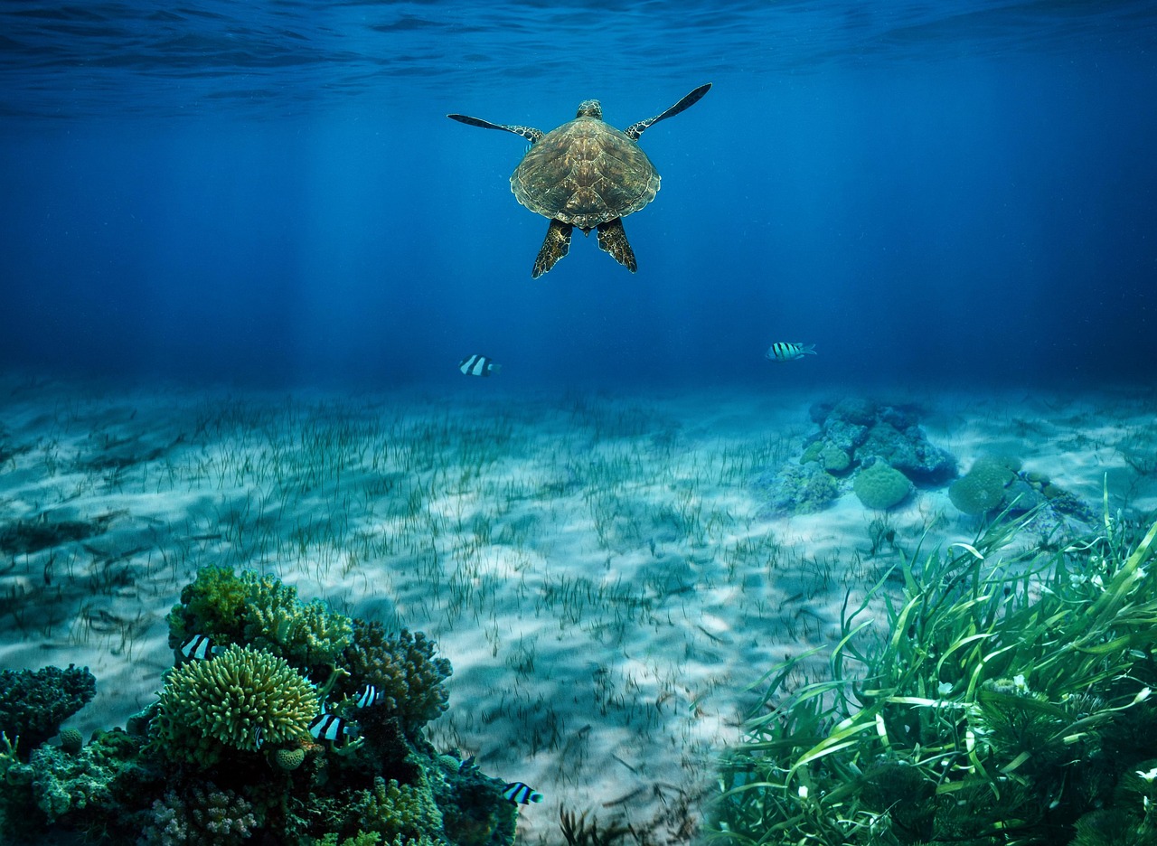 découvrez la richesse et la diversité des écosystèmes dans le monde. plongez dans l'interconnexion des espèces, l'importance de la biodiversité et les défis de la conservation pour préserver notre planète.