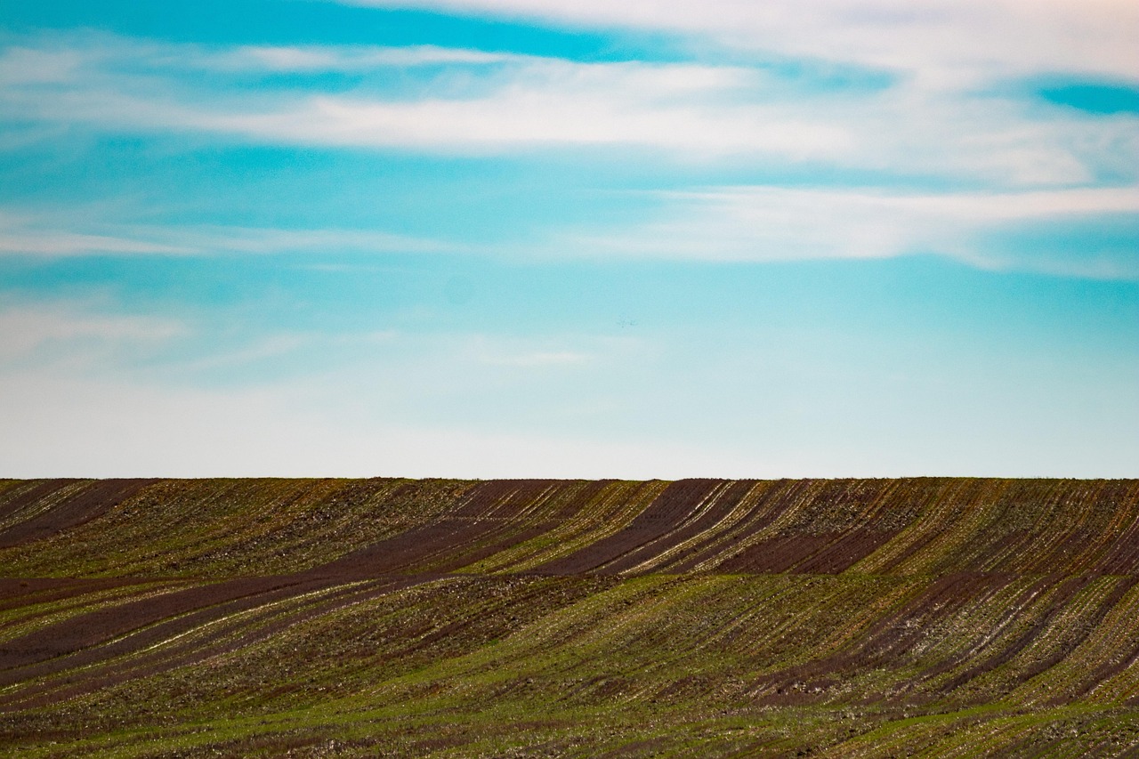 découvrez l'importance de la protection des terres pour préserver notre environnement, promouvoir la biodiversité et lutter contre le changement climatique. informez-vous sur les initiatives et stratégies visant à protéger nos ressources naturelles pour les générations futures.