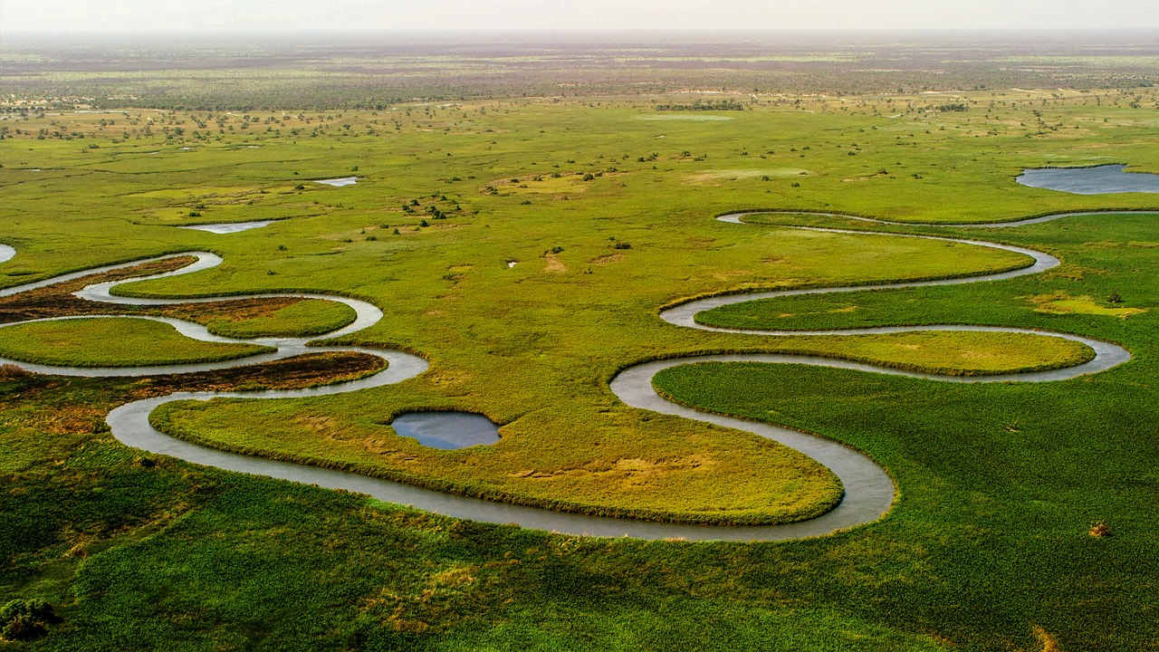 découvrez la politique écologique, un domaine qui examine les interactions entre la politique, l'environnement et la société. explorez comment les décisions politiques influencent la durabilité, la justice environnementale et les luttes pour la biodiversité, tout en promouvant des solutions innovantes pour un avenir durable.
