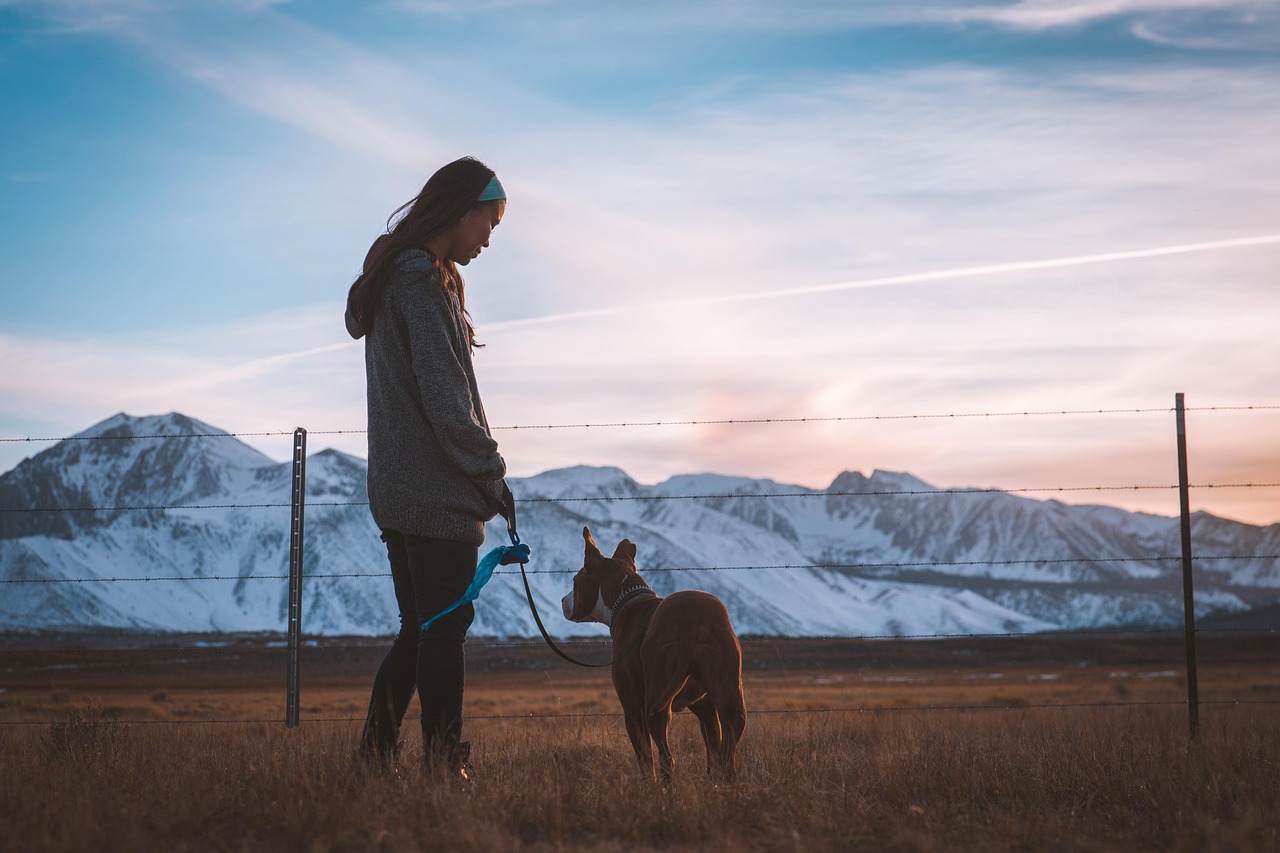 découvrez comment les product owners peuvent influencer le succès d'un projet en optimisant la collaboration entre les équipes, en définissant une vision claire du produit et en maximisant la satisfaction client. explorez les meilleures pratiques et stratégies pour renforcer leur impact dans le développement agile.