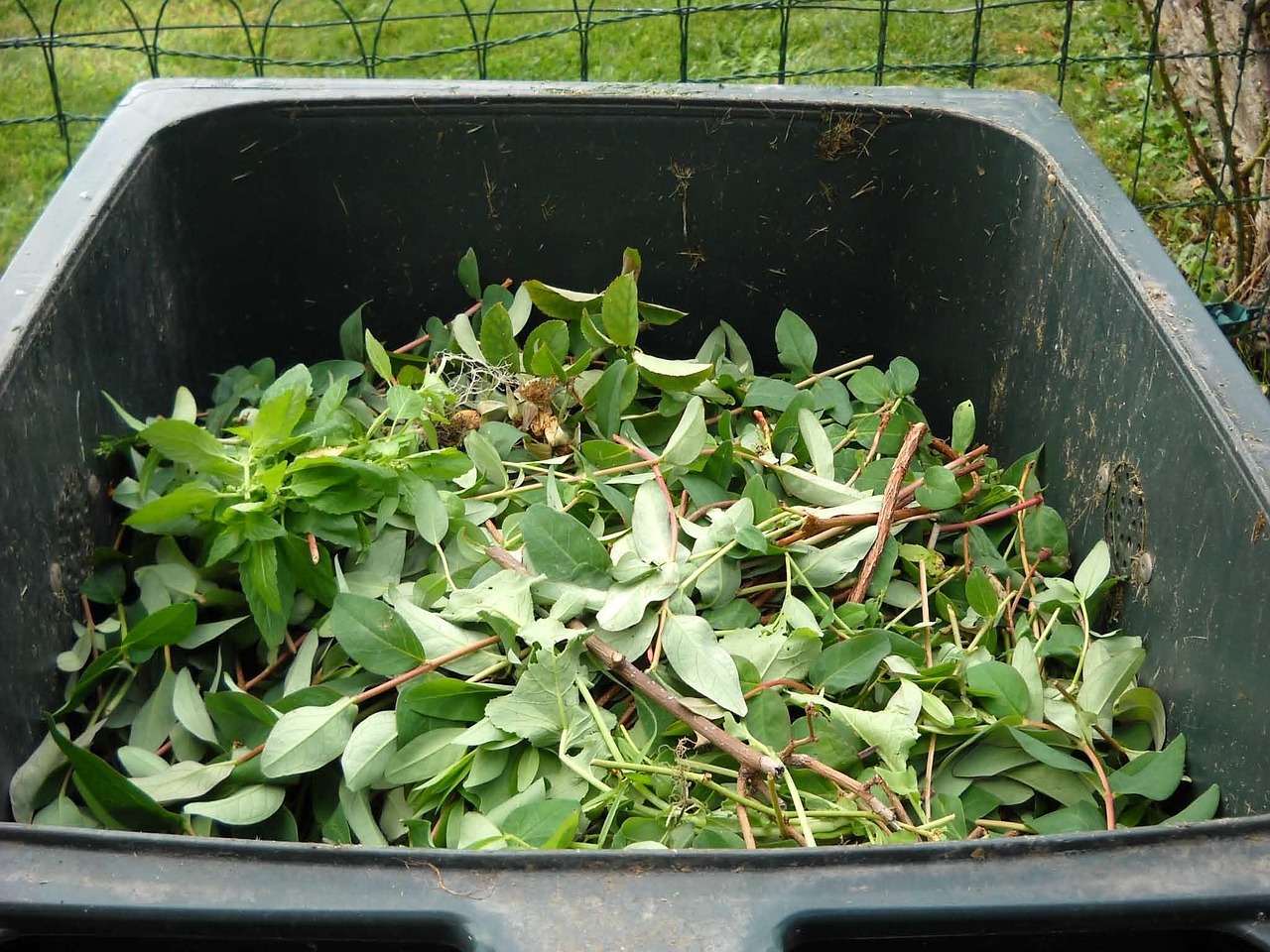 découvrez l'importance du recyclage pour la planète. apprenez comment trier vos déchets efficacement et contribuez à un environnement durable.