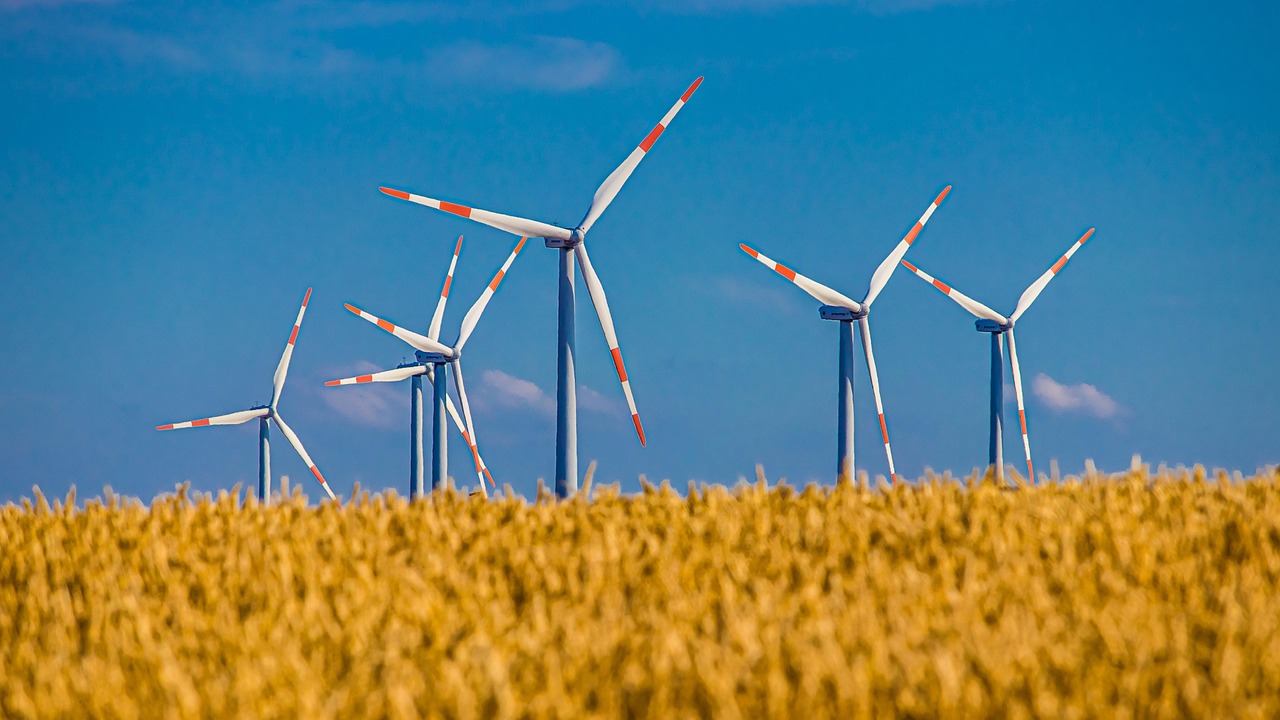 découvrez comment adopter un mode de vie durable et respectueux de l'environnement. explorez des astuces, des produits éco-responsables et des pratiques pour réduire votre empreinte carbone tout en contribuant à un avenir plus vert.