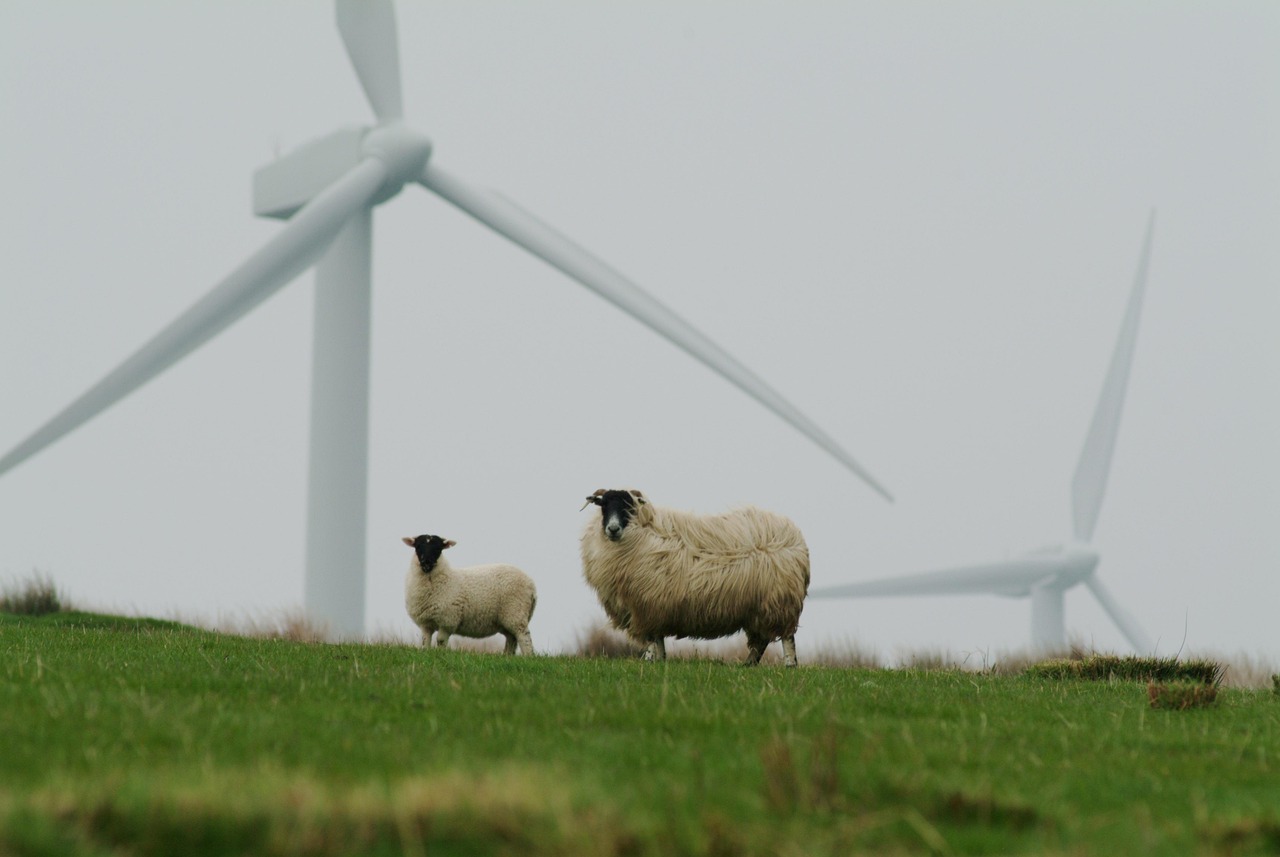 découvrez l'agriculture durable, une approche innovante qui respecte l'environnement tout en garantissant des rendements agricoles rentables. apprenez comment cette méthode permet de préserver les ressources naturelles, de promouvoir la biodiversité et d'assurer la sécurité alimentaire pour les générations futures.
