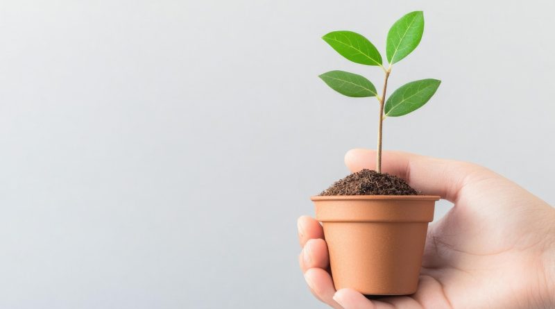 découvrez des stratégies pratiques pour favoriser une croissance durable dans votre entreprise. apprenez à intégrer des pratiques respectueuses de l'environnement tout en maximisant vos performances économiques.