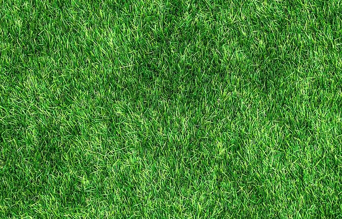 découvrez des solutions d'hygiène éco-responsables qui allient respect de l'environnement et efficacité. adoptez un mode de vie durable avec nos produits hygiéniques conçus pour minimiser l'impact écologique tout en maximisant votre bien-être.
