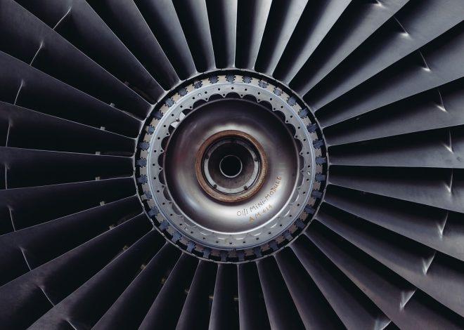 Ingénierie écologique : solutions durables pour préserver notre environnement