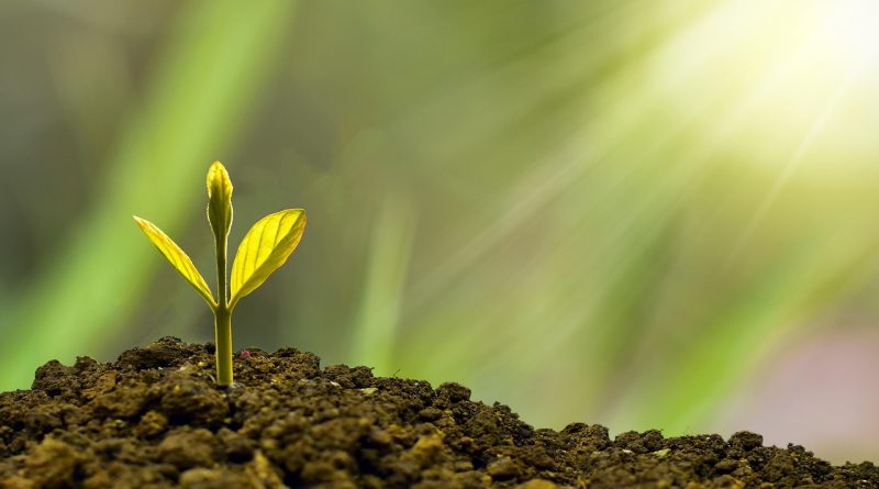 découvrez l'importance de la durabilité et comment des actions écoresponsables peuvent contribuer à un avenir plus vert. explorez des solutions innovantes pour préserver notre planète tout en répondant aux besoins présents.