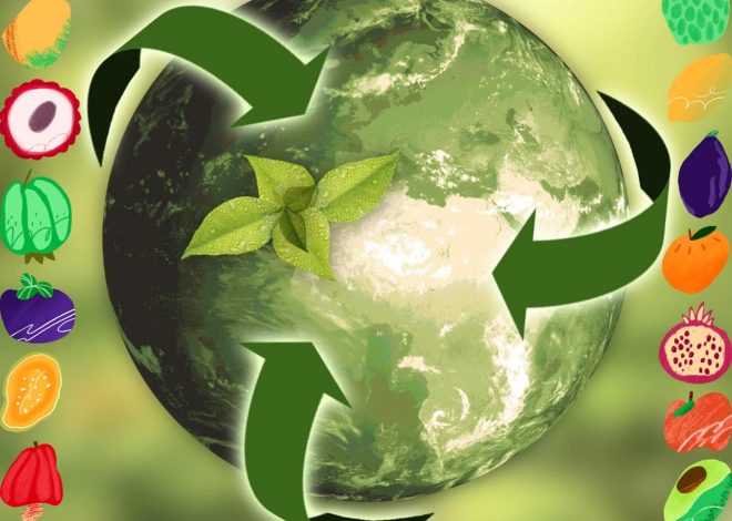 Réduction des impacts environnementaux : stratégies efficaces pour un avenir durable
