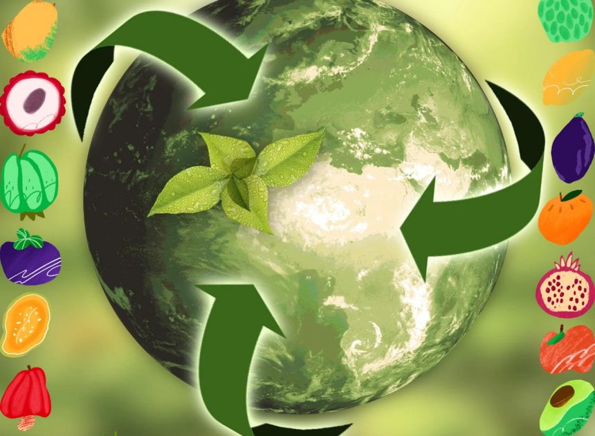 Réduction des impacts environnementaux : stratégies efficaces pour un avenir durable