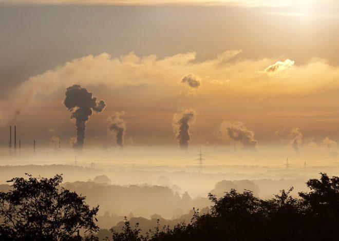 Soutien aux ONG environnementales : comment les aider à préserver notre planète