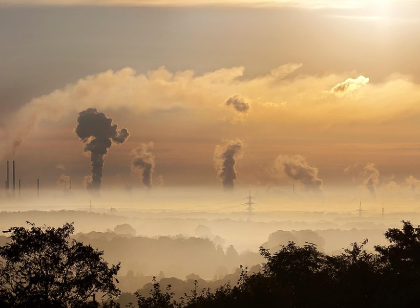 Soutien aux ONG environnementales : comment les aider à préserver notre planète