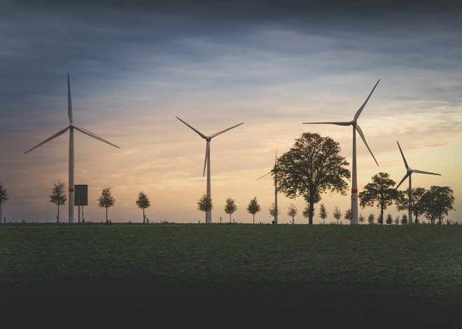 Ventions environnementales : Comprendre leur impact sur notre planète