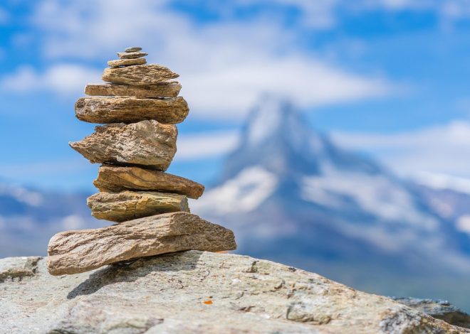 Vivre en harmonie avec la nature : 10 conseils pour un quotidien équilibré
