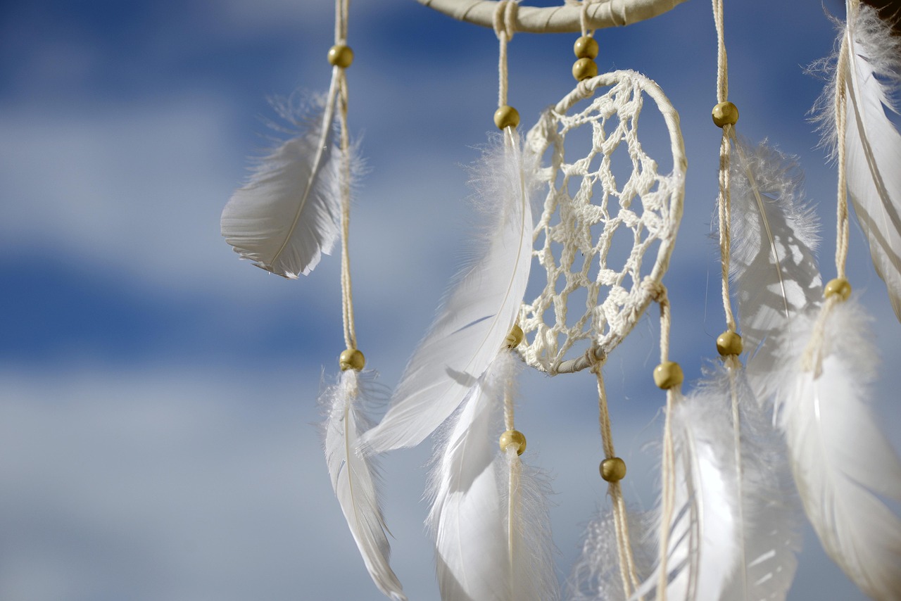 découvrez l'importance de la préservation culturelle, un enjeu essentiel pour sauvegarder notre patrimoine vivant, nos traditions et notre héritage pour les générations futures.