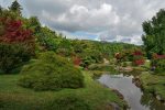 découvrez les forêts du bassin du congo, un écosystème unique abritant une biodiversité exceptionnelle, des espèces menacées et des initiatives de conservation cruciales pour la planète. explorez la beauté naturelle et l'importance écologique de cette région vitale.