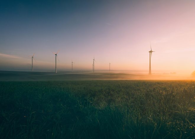 détails sur le label transition énergétique et écologique pour le climat