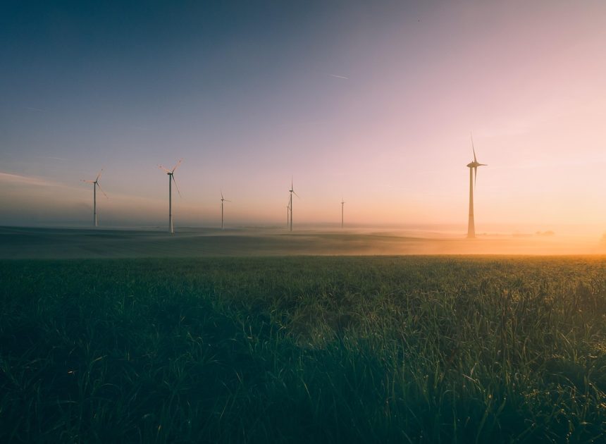 détails sur le label transition énergétique et écologique pour le climat