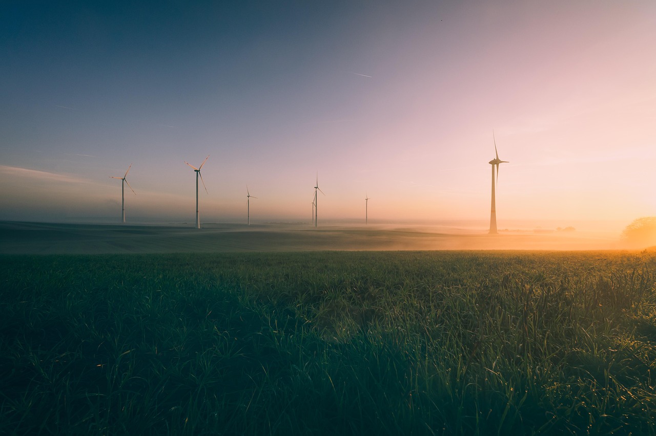 détails sur le label transition énergétique et écologique pour le climat