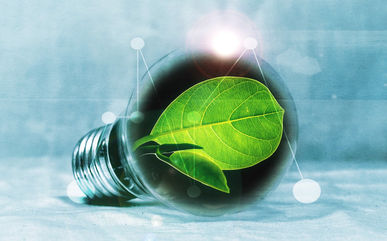 découvrez comment la transition énergétique transforme notre avenir en alliant durabilité et innovation. explorez les solutions et les technologies qui favorisent un passage vers des sources d'énergie renouvelables et une consommation responsable.