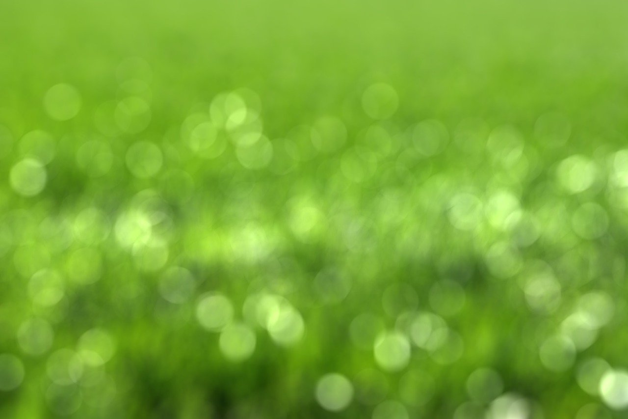 découvrez comment les ong environnementales s'unissent pour protéger notre planète, soutenir des initiatives durables et promouvoir la sensibilisation à la crise écologique. informez-vous sur leurs actions, leur impact et comment vous pouvez vous impliquer.