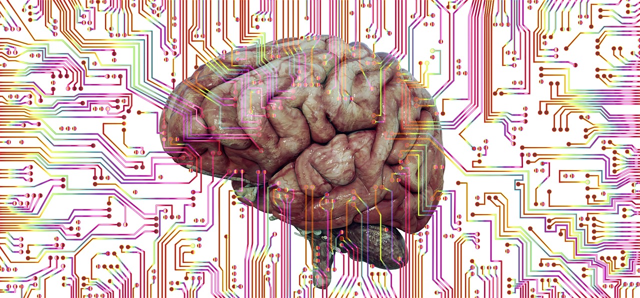 découvrez le concept d'interconnexion, ses enjeux et son impact sur les communications modernes et l'innovation technologique. apprenez comment les réseaux interconnectés transforment notre façon de vivre et de travailler.