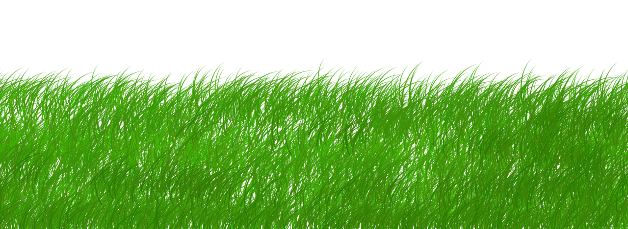 découvrez les enjeux et les pratiques de la durabilité pour un avenir respectueux de l'environnement. explorez des solutions innovantes et des initiatives écoresponsables qui contribuent à la préservation de notre planète.