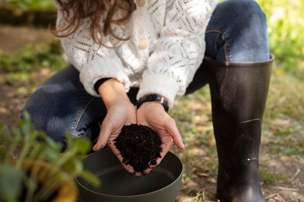 découvrez les pratiques de l'agriculture durable, qui préservent l'environnement tout en garantissant des récoltes de qualité. apprenez comment cette approche innovante favorise la biodiversité et soutient les communautés locales tout en répondant aux défis alimentaires mondiaux.