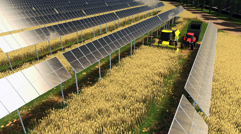 découvrez l’agrivoltaïsme, une solution innovante qui combine la production d’énergie solaire et l’agriculture pour optimiser l’utilisation des terres, protéger les cultures et favoriser la transition écologique.