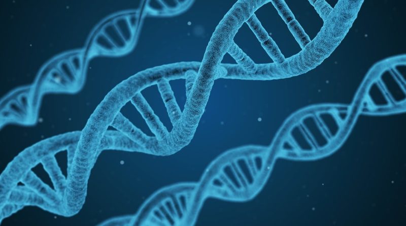 découvrez comment la collaboration scientifique favorise l'innovation, accélère les découvertes et rassemble des experts du monde entier pour résoudre des défis majeurs.