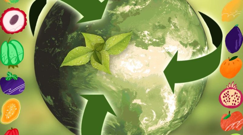 découvrez les principes de la durabilité et comment adopter un mode de vie respectueux de l'environnement pour préserver notre planète pour les générations futures.