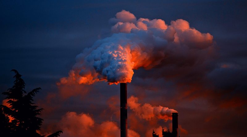 découvrez comment les activités humaines influencent l'environnement, les effets du changement climatique et des solutions pour réduire l'impact écologique au quotidien.