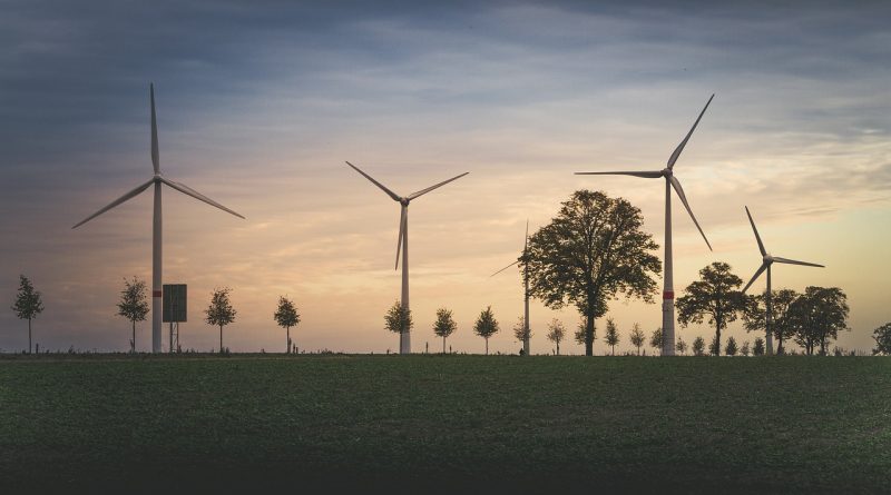 découvrez comment la perception environnementale influence notre compréhension et notre interaction avec le monde naturel, en analysant les facteurs psychologiques, culturels et écologiques qui façonnent nos points de vue.