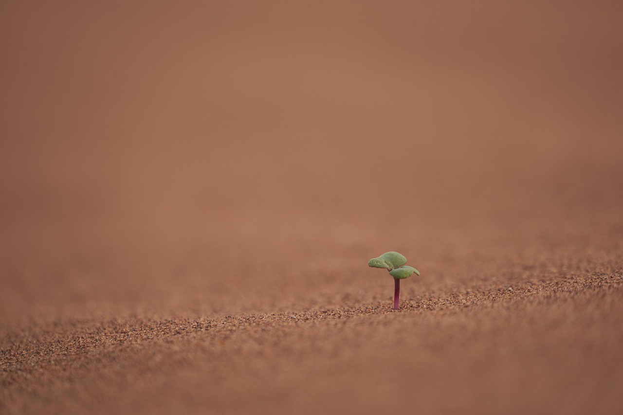 découvrez l'impact du changement climatique sur notre planète et nos vies. explorez les causes, les conséquences et les solutions pour lutter contre ce défi mondial. engagez-vous pour un avenir durable et apprenez comment chaque geste compte dans la préservation de notre environnement.