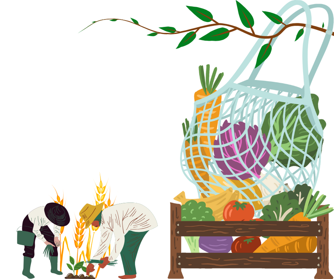 découvrez les enjeux de la réintégration écologique, un processus essentiel qui vise à restaurer les écosystèmes dégradés et à favoriser un équilibre durable entre l'homme et la nature. apprenez comment les initiatives de réhabilitation contribuent à la biodiversité et à la préservation de notre planète.
