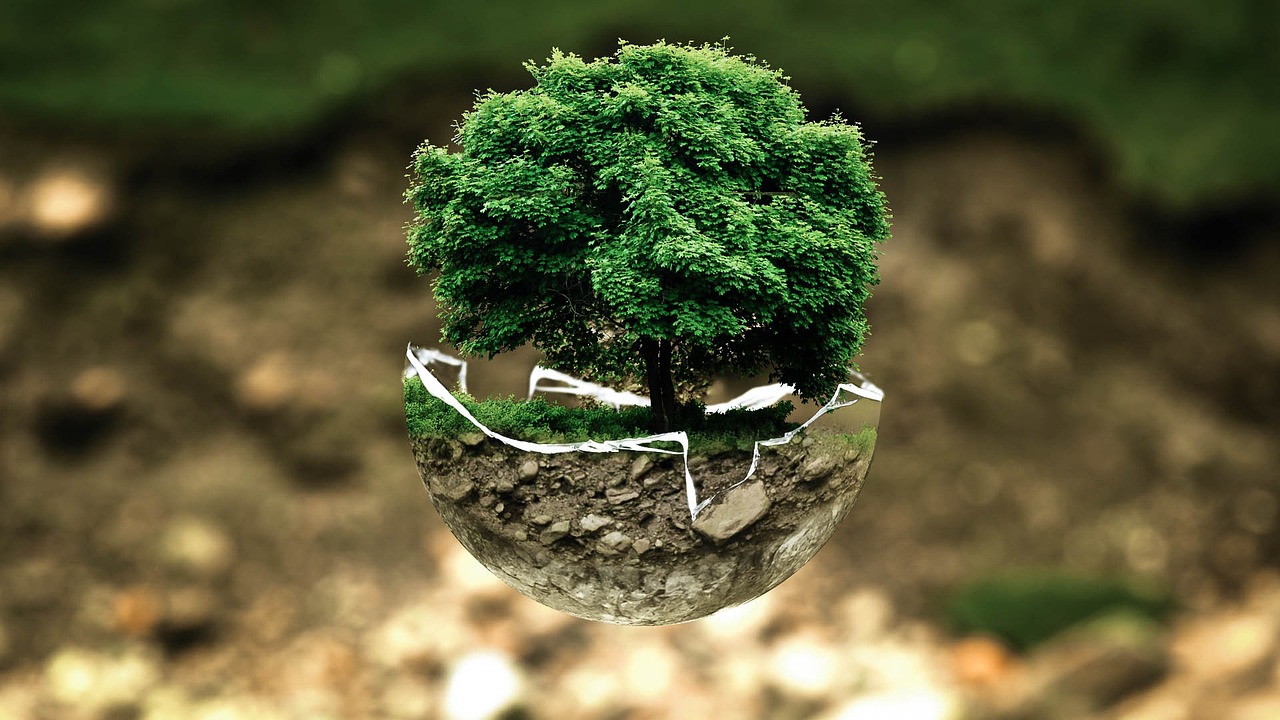 découvrez les politiques environnementales essentielles qui visent à protéger notre planète. explorez les initiatives durables, les régulations écologiques et les stratégies de conservation qui façonnent un avenir plus vert.