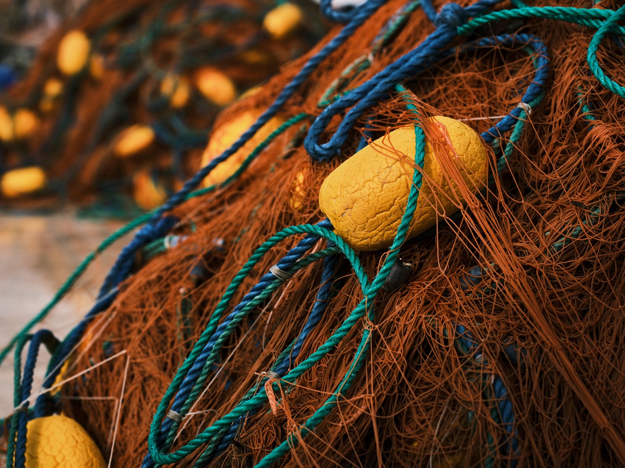découvrez le monde fascinant des pêches : son importance écologique, les techniques de pêche durable et les enjeux économiques qui en découlent. plongez dans l'univers des ressources maritimes et apprenez comment préserver nos océans tout en profitant des délices de la mer.