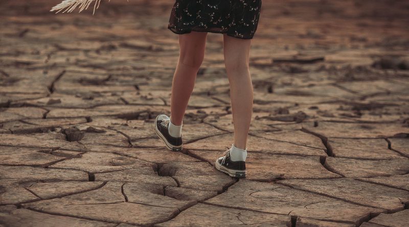 découvrez les causes, conséquences et solutions face au changement climatique : un enjeu mondial essentiel pour préserver notre planète et les générations futures.