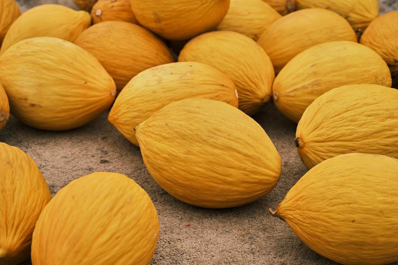 découvrez l'agriculture biologique : ses principes, ses avantages pour l'environnement et la santé, ainsi que des conseils pratiques pour adopter des pratiques agricoles durables et respectueuses de la nature.