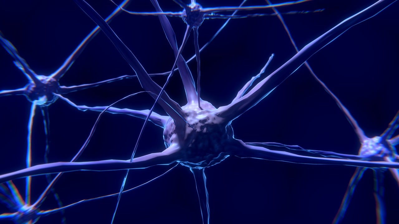 découvrez comment la collaboration scientifique favorise l’innovation, accélère les découvertes et permet de relever les grands défis de la science grâce au partage des connaissances et à la coopération entre chercheurs du monde entier.